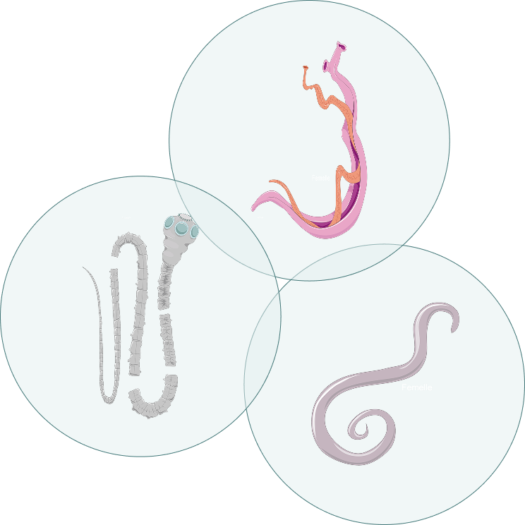 Group-1597883628.png