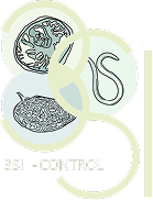 image-1107.png